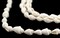 The Bead Chest White Reef Natural Shell Beads: Unique Coastal Craft Supplies for Beach-Inspired Jewelry Designs, Full Strand